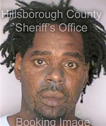 Davis Levoy - Hillsborough County, FL 