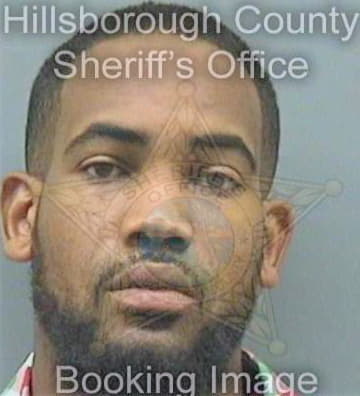 Rocker Steven - Hillsborough County, FL 