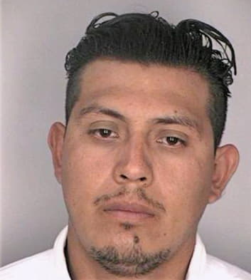 Terandiaz Cesar - Hillsborough County, FL 