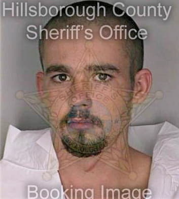 Milligan David - Hillsborough County, FL 