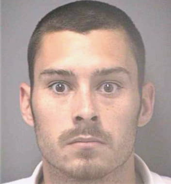 Mccann Joshua - Hillsborough County, FL 