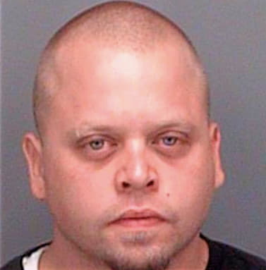 Stoudt Robert - Pinellas County, FL 