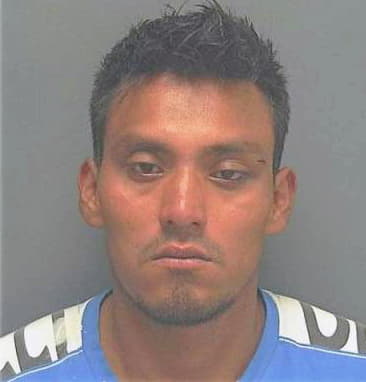 Dela-Cruz Vicente - Lee County, FL 