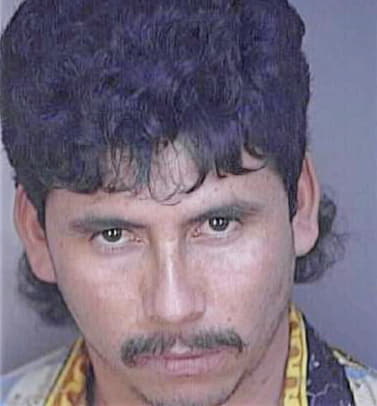 Sanchez Fernando - Polk County, FL 