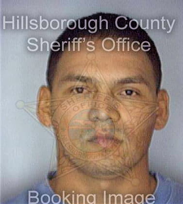 Bello Julio - Hillsborough County, FL 