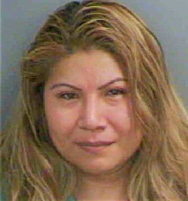 Cruz Margarita - Collier County, FL 