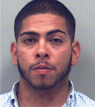 Vega Oscar - Gwinnett County, GA 