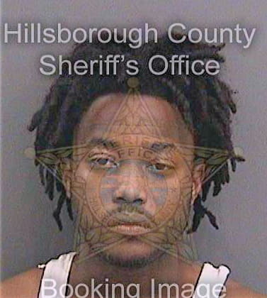 Davis Eric - Hillsborough County, FL 