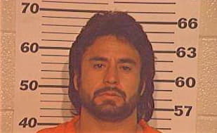 Arguelles Ramon - Hidalgo County, TX 
