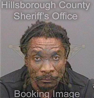 Francois David - Hillsborough County, FL 