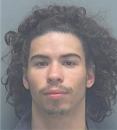 Henriquez David - Lee County, FL 