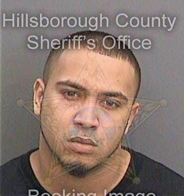 Mann Justin - Hillsborough County, FL 