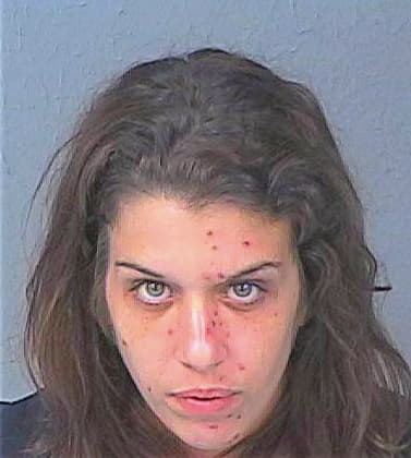 Bradshaw Nicole - Hernando County, FL 