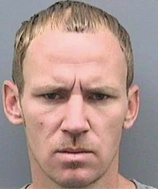 Davis Andrew - Hillsborough County, FL 