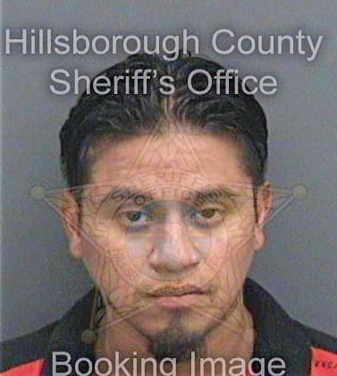 Guzmanortiz Byron - Hillsborough County, FL 