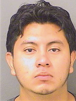 Roblero Joshua - PalmBeach County, FL 