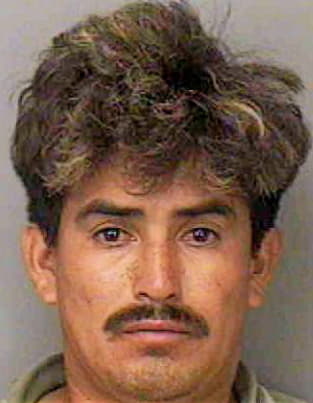 Rodriguez Alfredo - Polk County, FL 