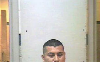 Roblero Hermin - Henderson County, KY 