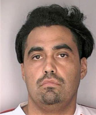 Herrerarameirez Rafael - Hillsborough County, FL 