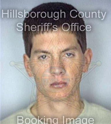 Mccormick Timothy - Hillsborough County, FL 