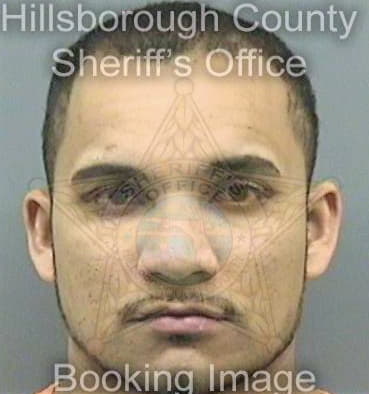 Ramroop Dale - Hillsborough County, FL 