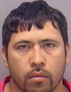 Deanda Erik - Lee County, FL 