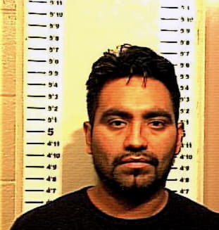 Hinojosa Rodolfo - Denton County, TX 