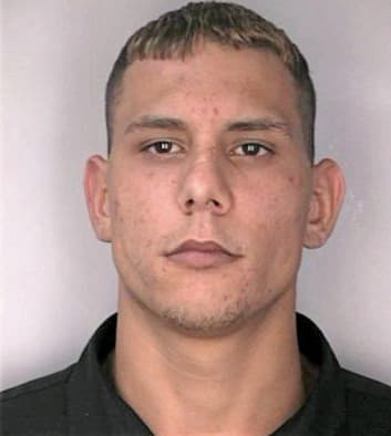 Araoz David - Hillsborough County, FL 