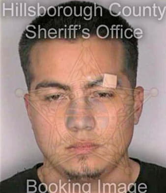 Gomez Helmut - Hillsborough County, FL 