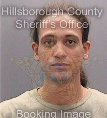 Paulino Lorenzo - Hillsborough County, FL 