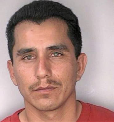 Arevaco Margarito - Hillsborough County, FL 