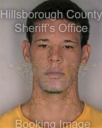 Abreu Pedro - Hillsborough County, FL 