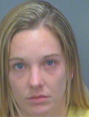 Hesishman Desiree - Pinellas County, FL 