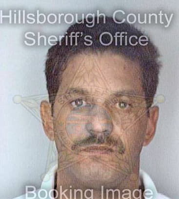 Quinones Emanuel - Hillsborough County, FL 