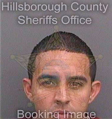 Rodriguezocasio Omar - Hillsborough County, FL 