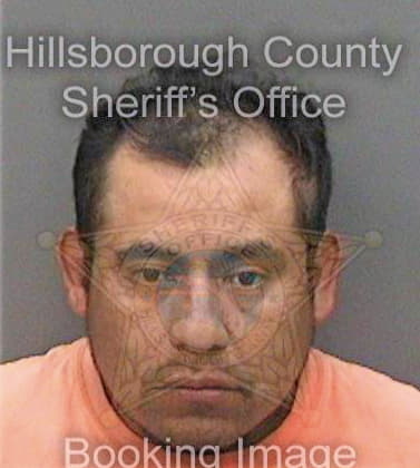 Mendez Raymundo - Hillsborough County, FL 