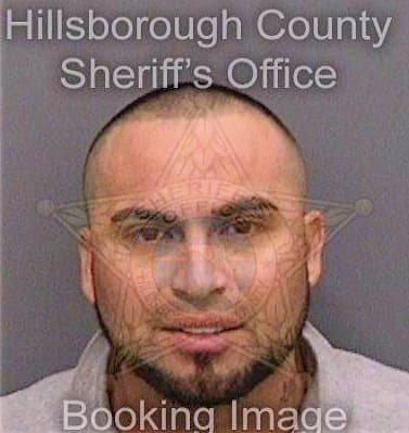 Garcia Abraham - Hillsborough County, FL 