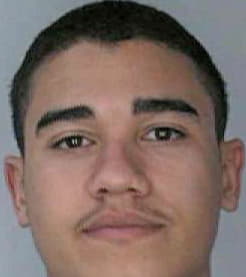 Manso Miguel - Hillsborough County, FL 
