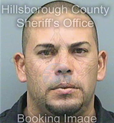 Figueroa Israel - Hillsborough County, FL 
