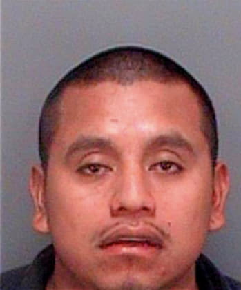 Nunez Juan - Pinellas County, FL 
