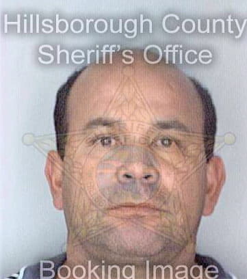 Criollo Manuel - Hillsborough County, FL 