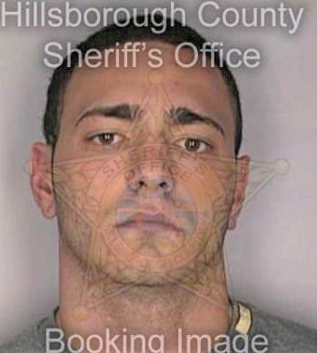 Mideiros Ryan - Hillsborough County, FL 