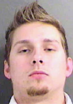 Mihilek Christian - Mecklenburg County, NC 