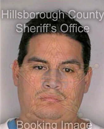 Kroll Jorge - Hillsborough County, FL 