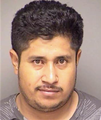 Garcia Melchor - Denton County, TX 