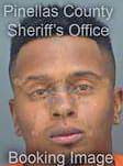 Jackson Reginold - Pinellas County, FL 