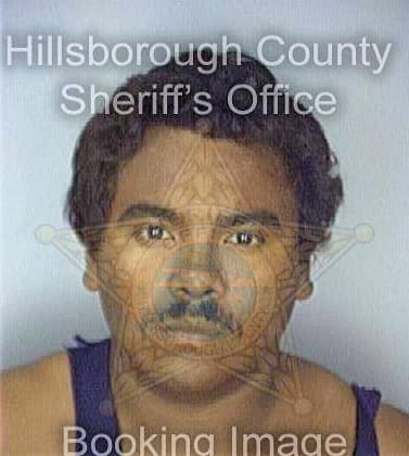 Rodriguez Domingo - Hillsborough County, FL 