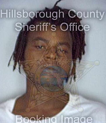 Shank Glenn - Hillsborough County, FL 