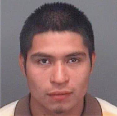 Olveraalvarez Omar - Pinellas County, FL 