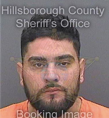 Cruztorres Ray - Hillsborough County, FL 